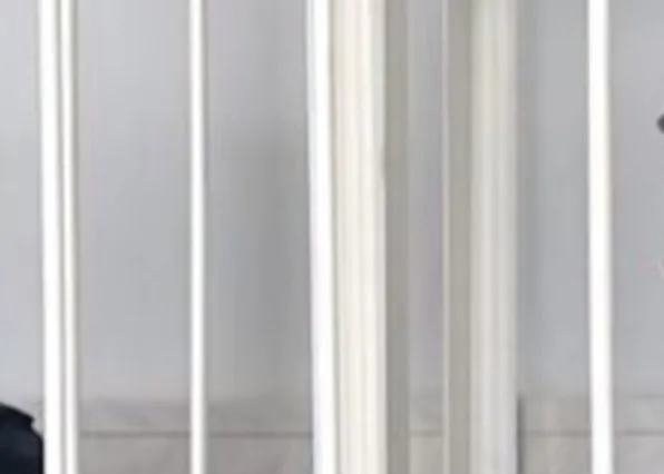 Фотография из галереи