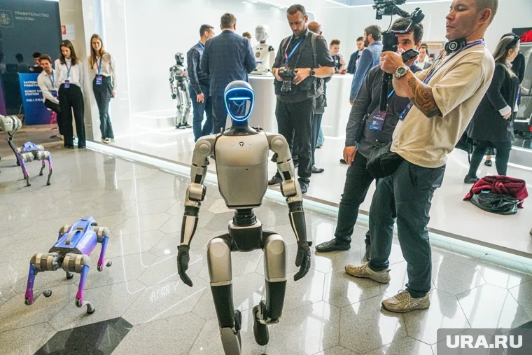 Андроид прошелся по центру города (архивное фото)