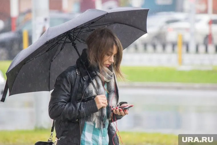 Зауральцы получили смс-оповещение от МЧС