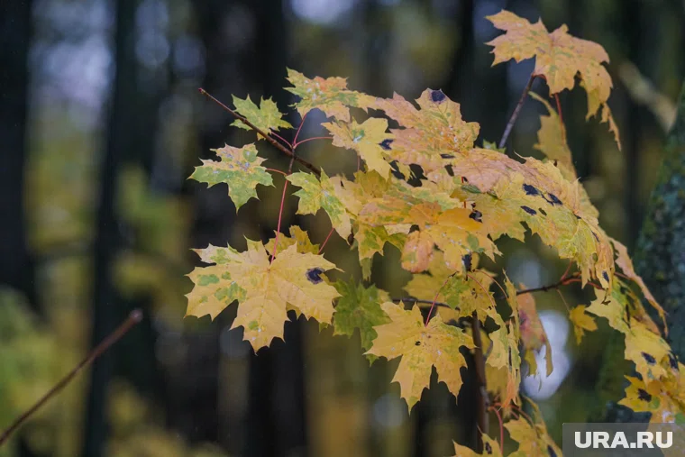 18 октября - важный день в народном календаре