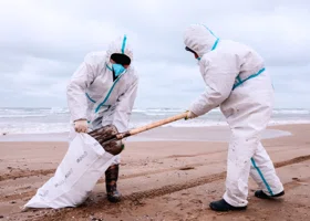 В Анапе появились новые очаги выброса мазута