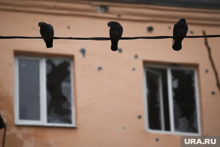 ВСУ отомстили за удары по военным объектам Харькова, сказал Геннадий Алехин (архивное фото)