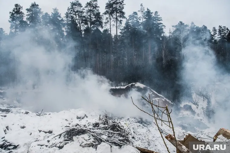 В Курганской области затянулась ликвидация свалки с трупами животных