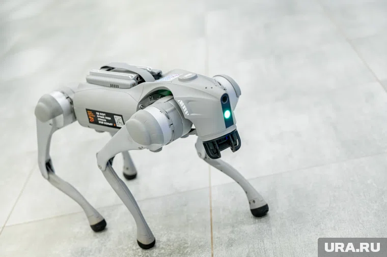 В Кургане в гипермаркет внедрили робота-котика (архивное фото)