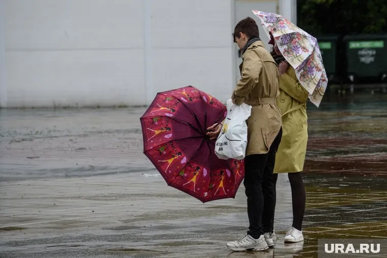 Дожди ожидаются и после выходных