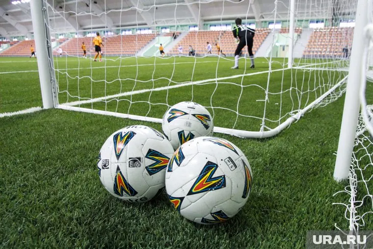 На продаже украинское правительство заработает