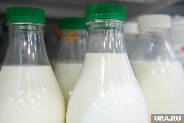 В документах была ложная информация