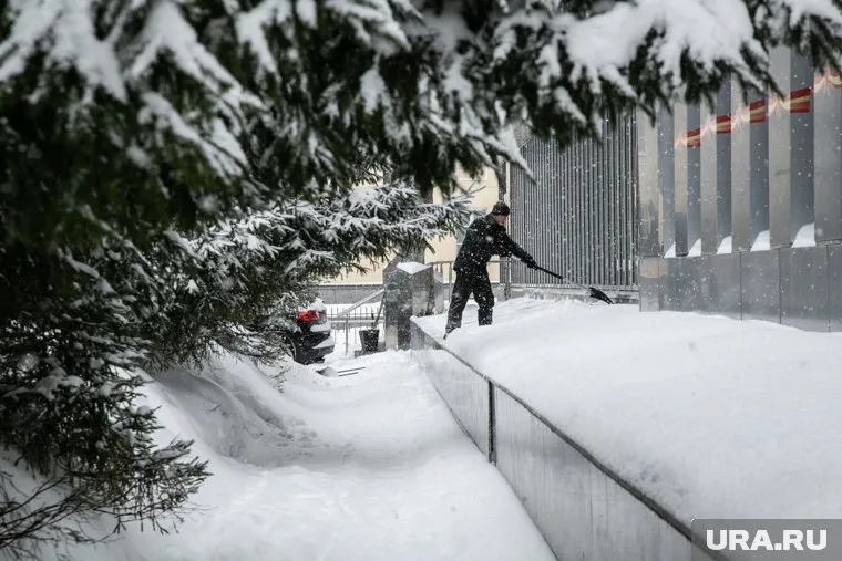 Почти год чиновнице придется заниматься общественно полезным трудом