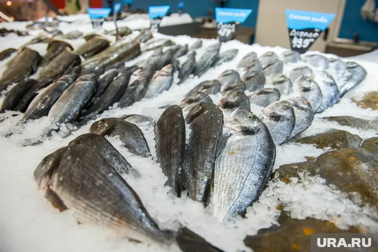 Ожидается повышение цен почти на всю рыбу