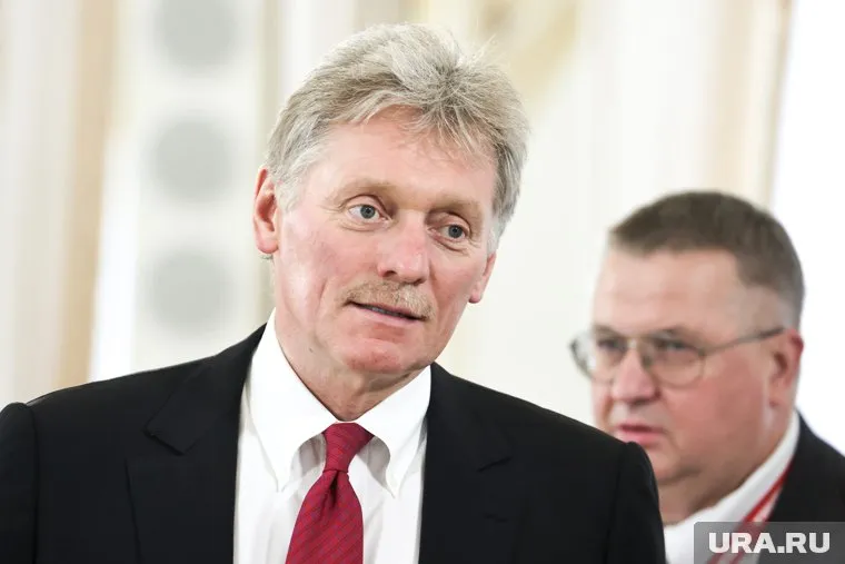 Песков назвал обвинения Навальной голословными