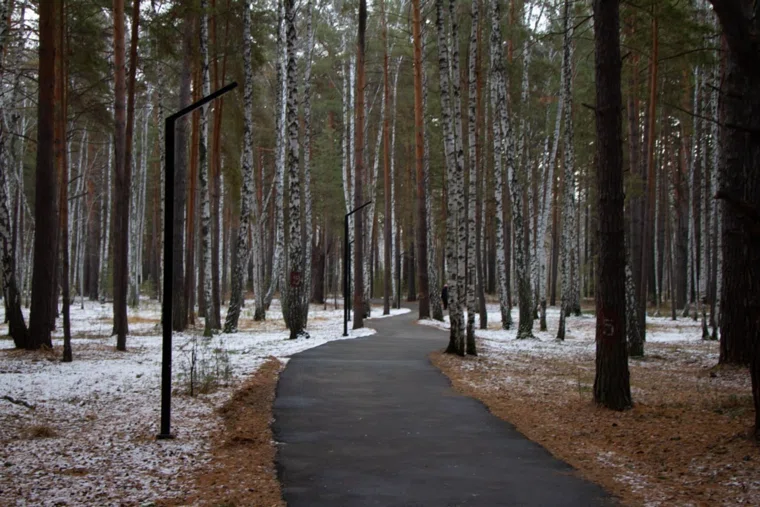 От экопарка в Кургане проложат дорожки до вольеров в натур-парке