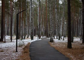 Науменко поручил соединить экопарк с натур-парком в Кургане