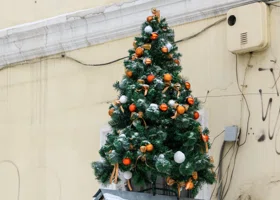 В Екатеринбурге заметили первую новогоднюю елку