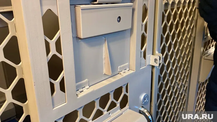 Виновные понесут наказание (архивное фото)