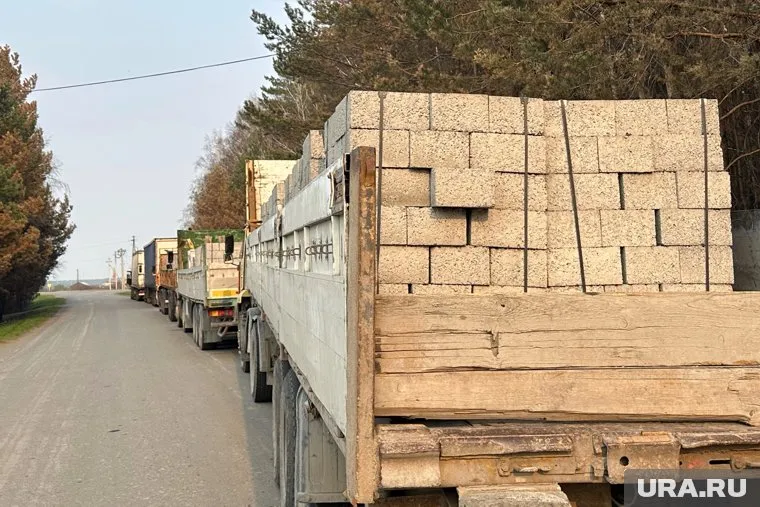 Мужчина вывозил в Казахстан древесину хвойных пород