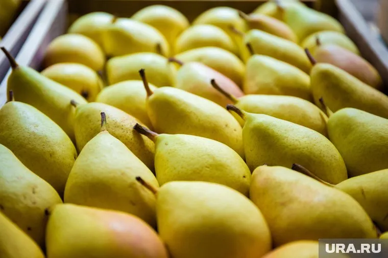 Продукты могут стать опасными для здоровья