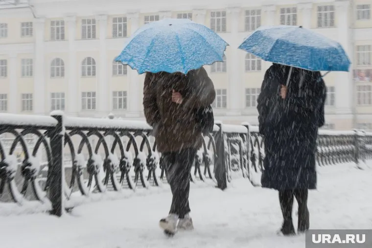 На выходных в Кургане может установиться снежный покров