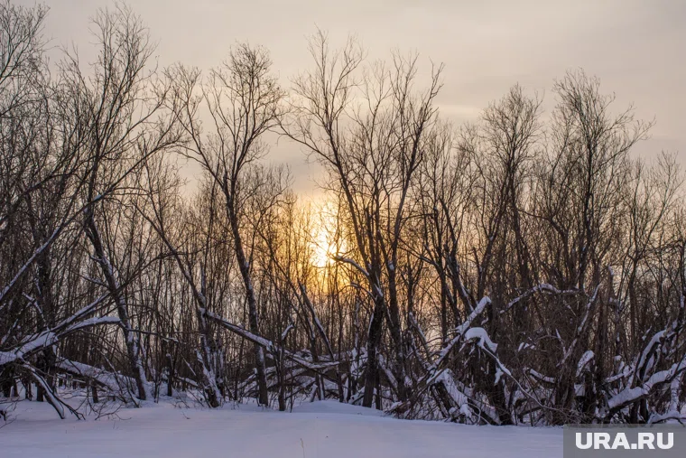 Космическая погода на 1 ноября 2025
