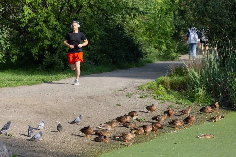 Глава Екатеринбурга в Кировском районе. Екатеринбург