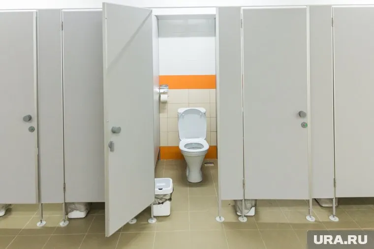 Туалеты, которые участвуют в конкурсе Domestos, выглядят в разы хуже, чем на этом фото