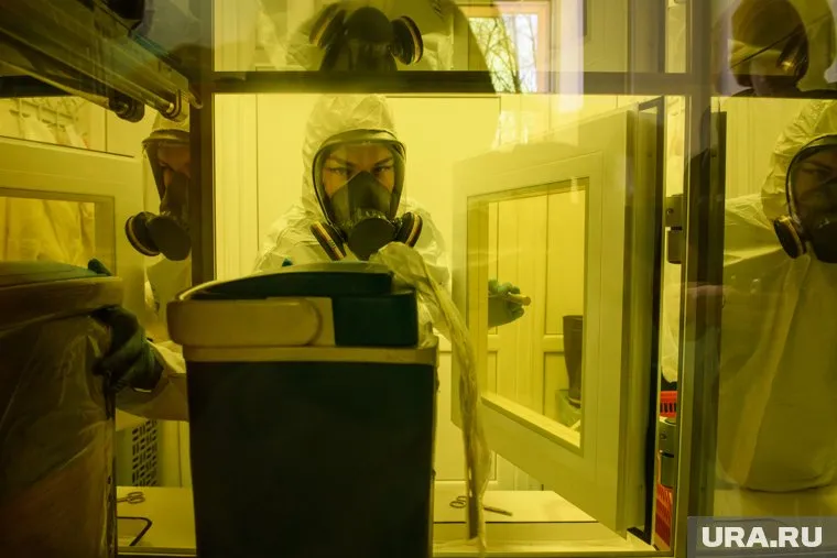 Вирусную инфекцию предварительно обнаружили у женщины