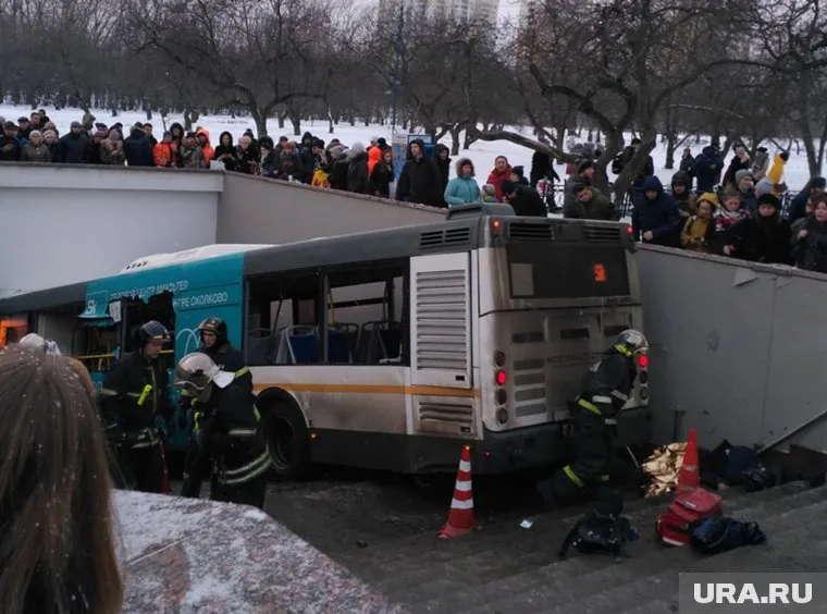 Автобус не затормозил