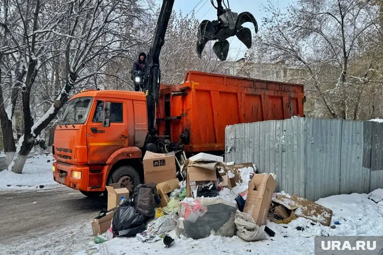 Две управляющие компании получили представления за не вывезенный мусор после публикации URA.RU