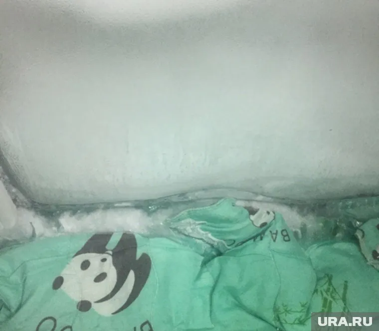 На стенах в доме — лед