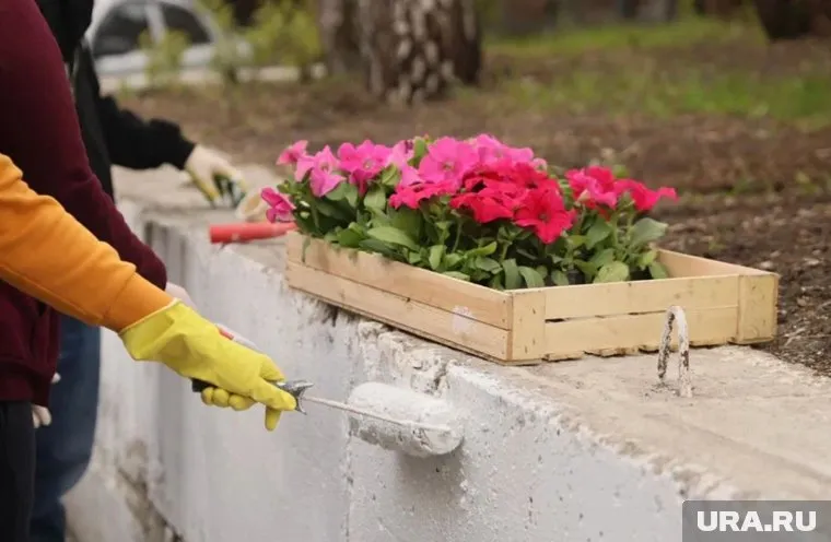 Среди волонтеров были знаменитые спортсмены