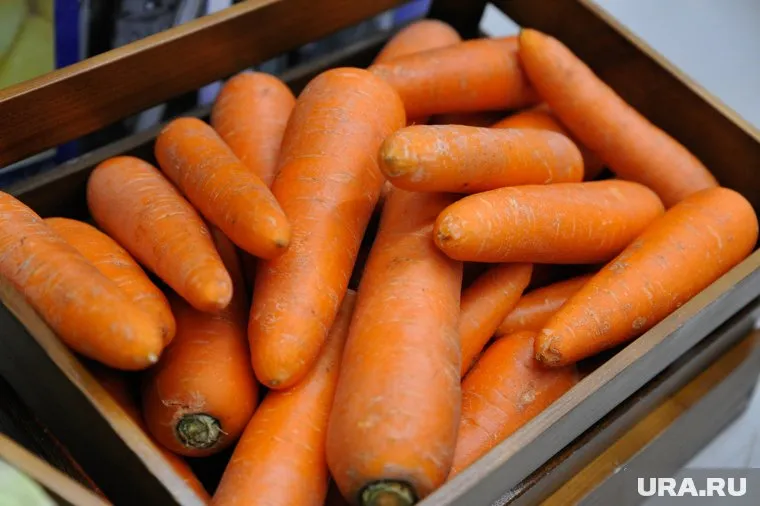 Морковь нужно есть в сочетании с жирными продуктами для ее усвоения, сказал Владислав Ледовский