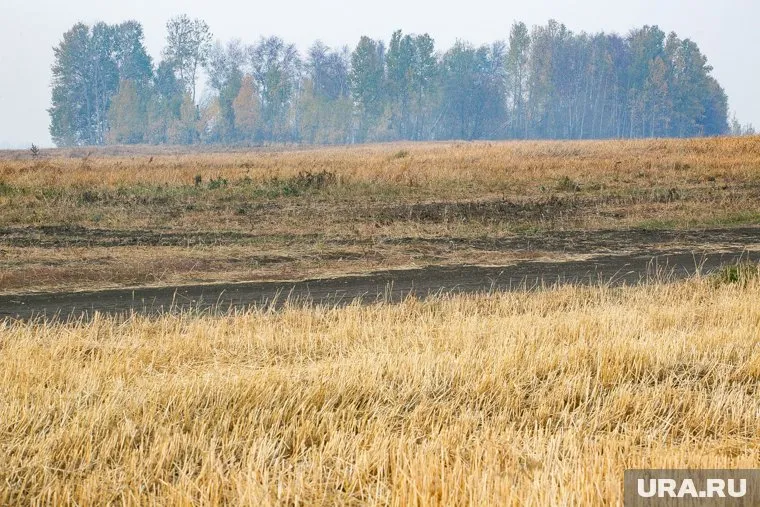 Суд оставил автосалон без земли, которую тот не использовал