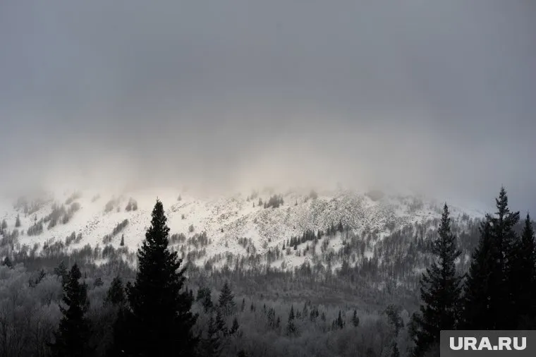 Выживший альпинист раскрыл подробности восхождения на пик Победы, где застряла Наговицина