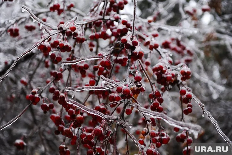 Региону предстоит одна из самых холодных ночей в октябре