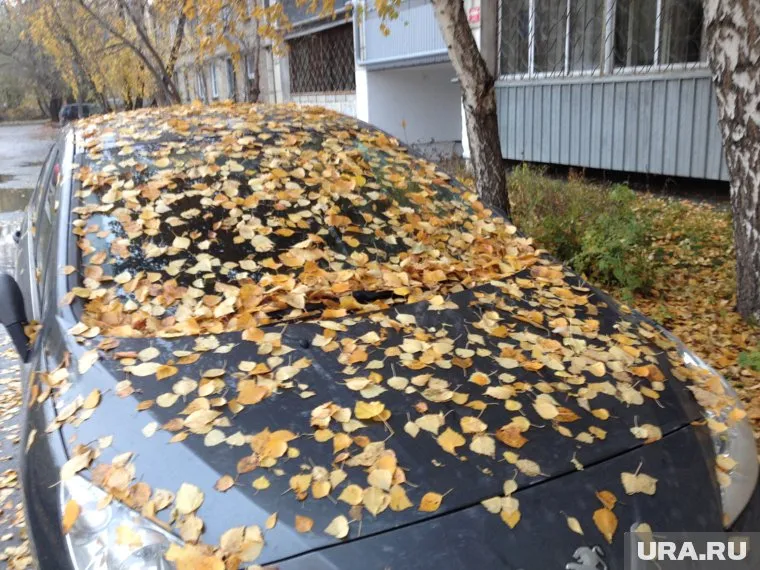 Золотая пора для тюменских владельцев авто завершается