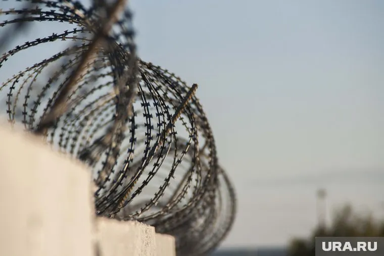 Колонии заметно опустеют