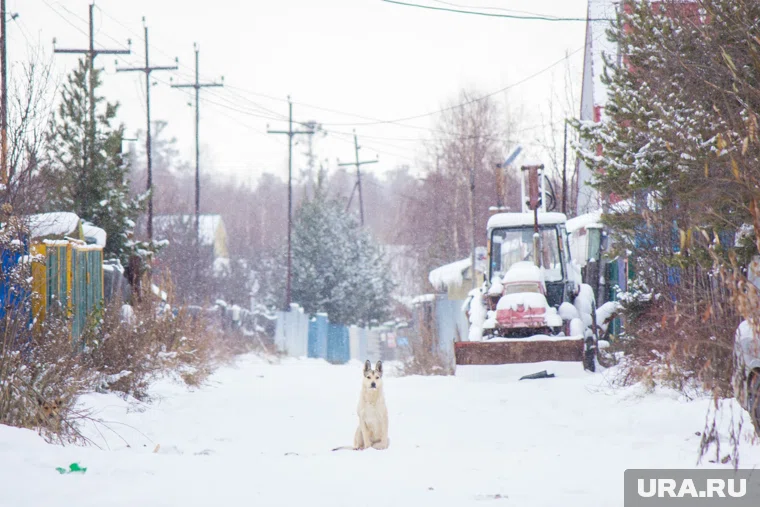 В РФ планируют уточнить требования к земельным участкам