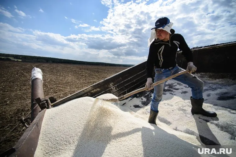 Россия в 2024 году заняла более 20% в мировом экспорте удобрений