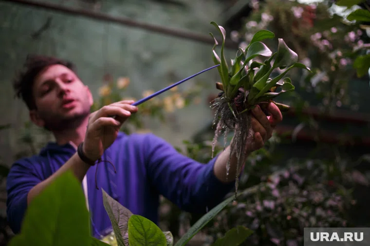 Ботсад снова открыт