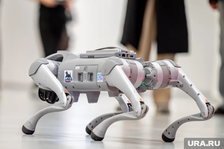 Роботы освоили сленг 