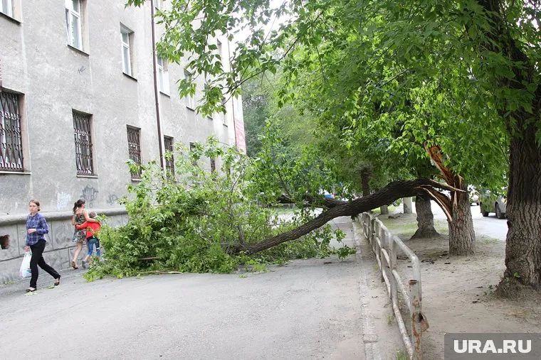 По словам женщины, на ее теле осталось много ссадин и ушибов