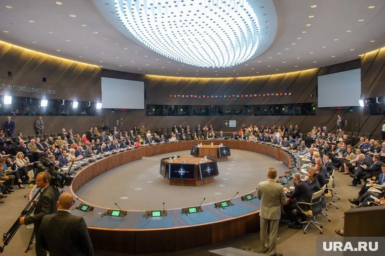 Украине не нужно вступать в НАТО и стоит сохранять нейтралитет, считает Дейли