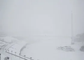 Снежный шторм в Тюмени парализовал работу автобусов