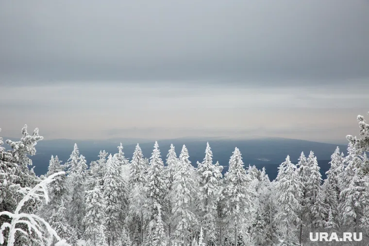 Как выжить в тайге