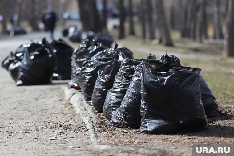 Дмитрий Махонин провел субботник в парке Победы в Полазне