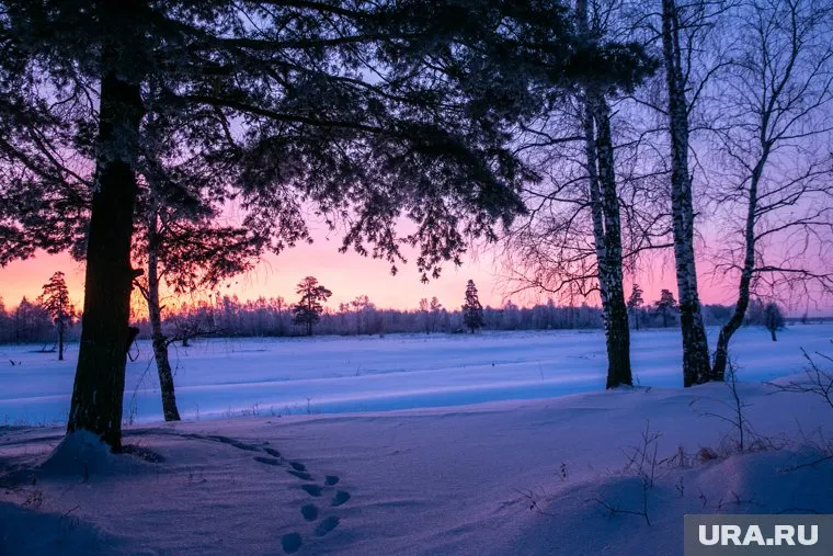 Прогноз магнитной бури 11 марта 2025 года