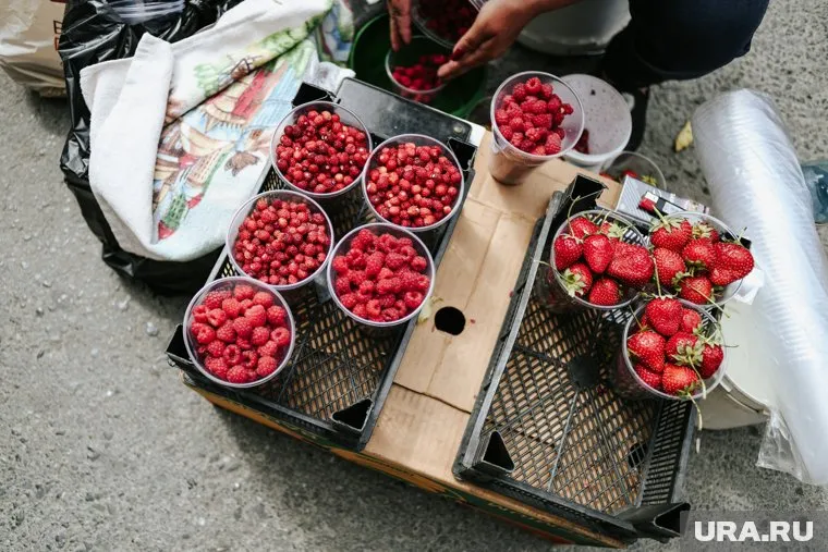 В среднем килограмм малины для челябинцев обойдется в 500 рублей