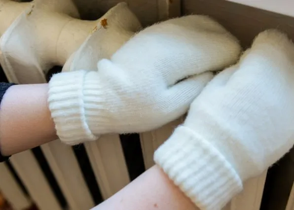 Фотография из галереи