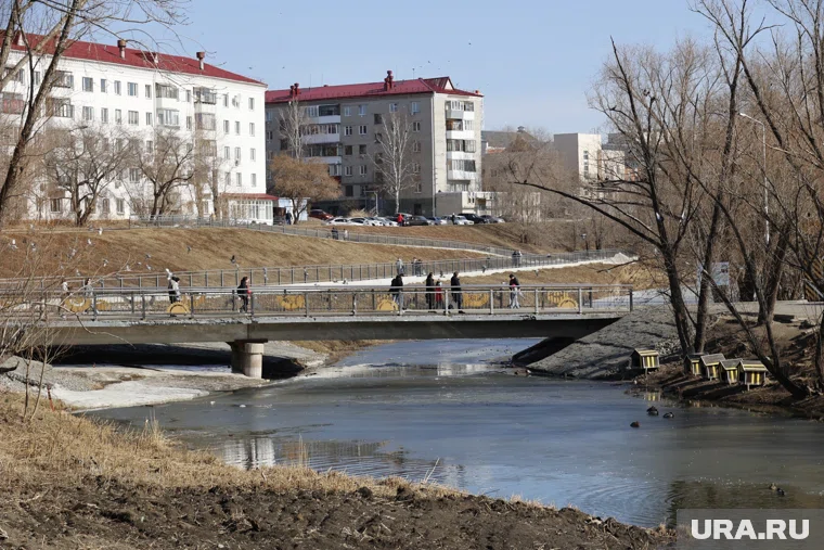 Утиное семейство появилось в курганском ЦПКиО