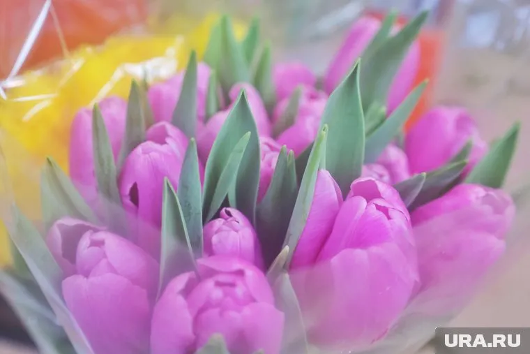 Сергей Маненков поздравил вдову участника СВО с 8 марта