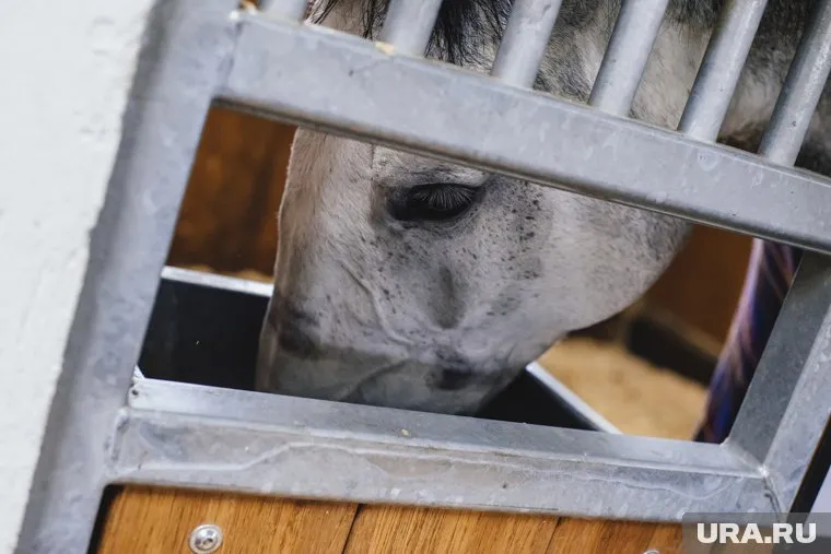 Причиной пожара пока называют неосторожное обращение с огнем